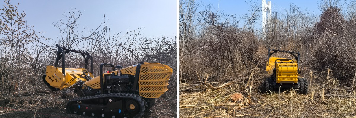 40pro Yanmar lawn mower