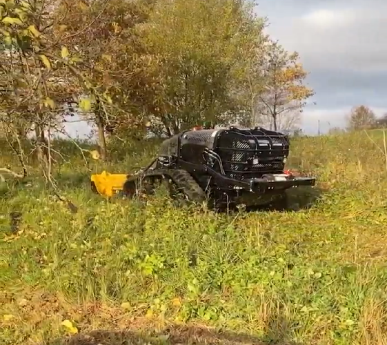 Feedback dei clienti tedeschi sull'utilizzo del tosaerba telecomandato