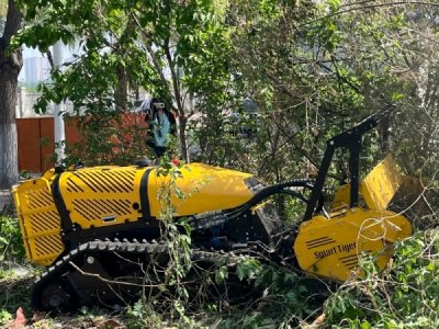 Waldmulcher stärken die moderne Waldbrandprävention und -bekämpfung