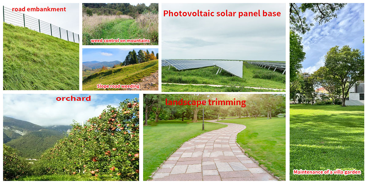 gas powered remote control lawn mower