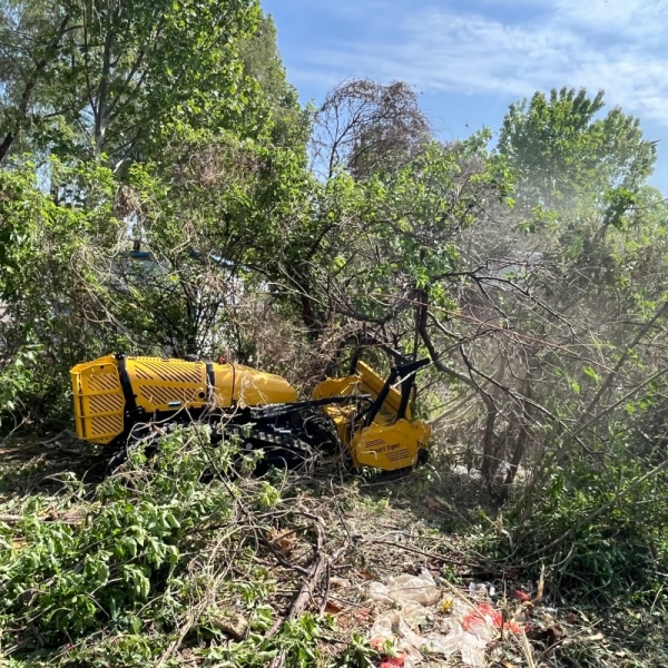 Disboscamento e pacciamatura del terreno
