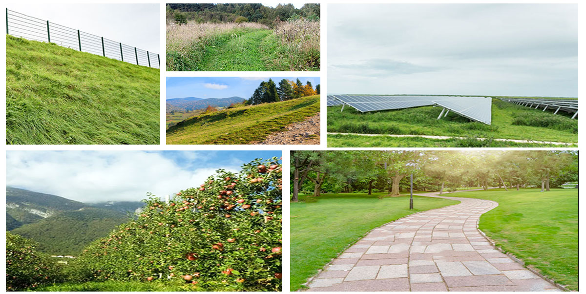 Melhor robô cortador de relva para colinas