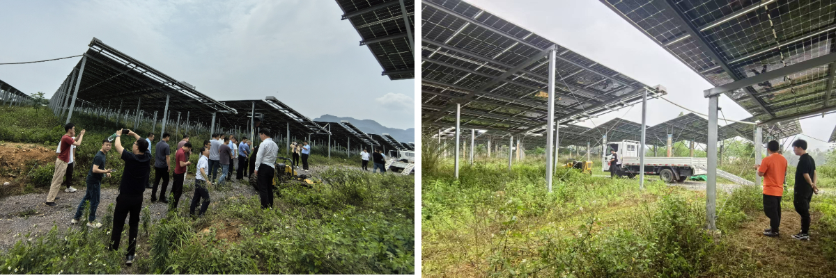 مزرعة شنغهاي ييهاو للغابات تزيد كفاءة إزالة الأعشاب الضارة بمقدار عشرة أضعاف باستخدام جزازات العشب الهيدروليكية الكاملة من هواينغ