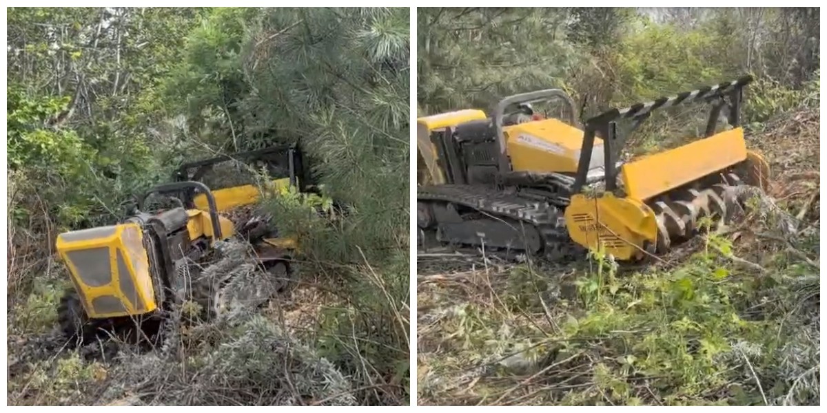 Forest remote-controlled branch cutter