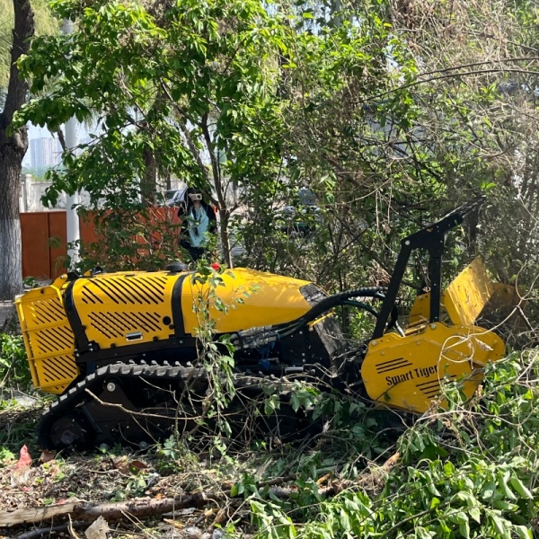 Disboscamento e pacciamatura del terreno