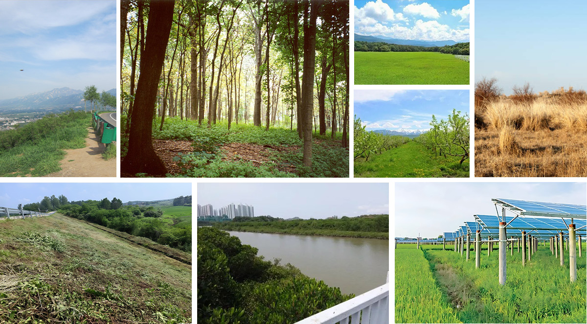 remote control lawn mower for sale remote control lawn mower for sale