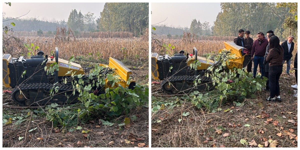 كيفية اختيار جزازة العشب لقص التلال