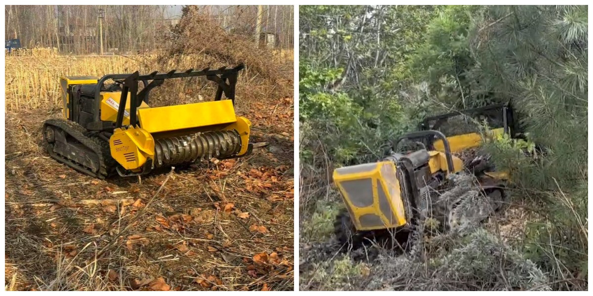 Machine suitable for undergrowth cutting and land reclamation in forests Machine suitable for undergrowth cutting and land reclamation in forests