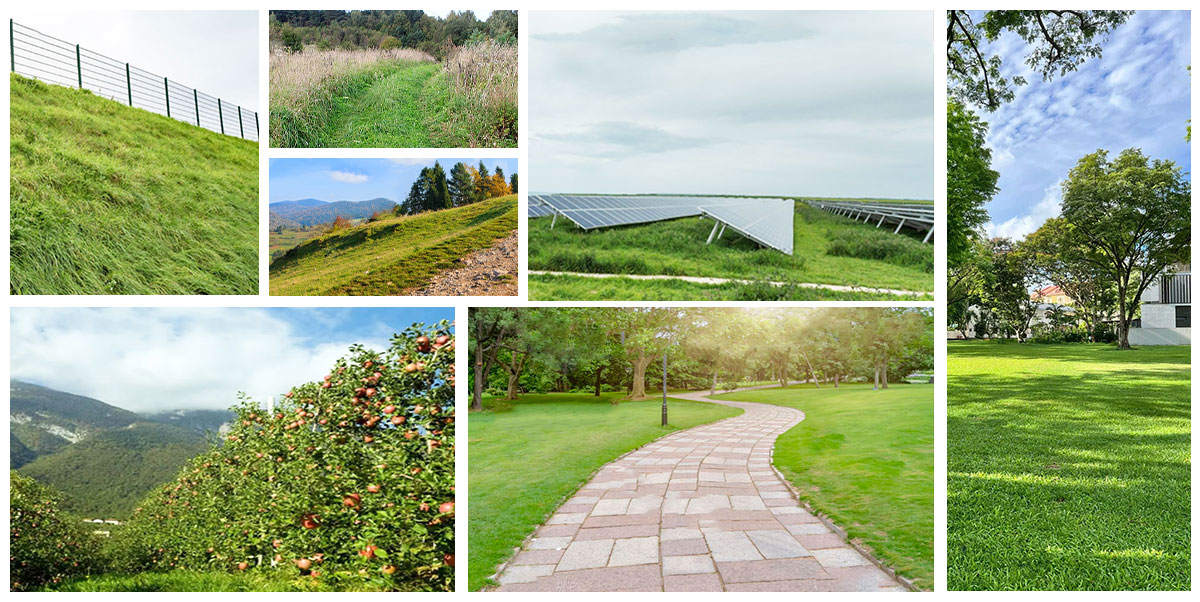 Tondeuse télécommandée pour collines