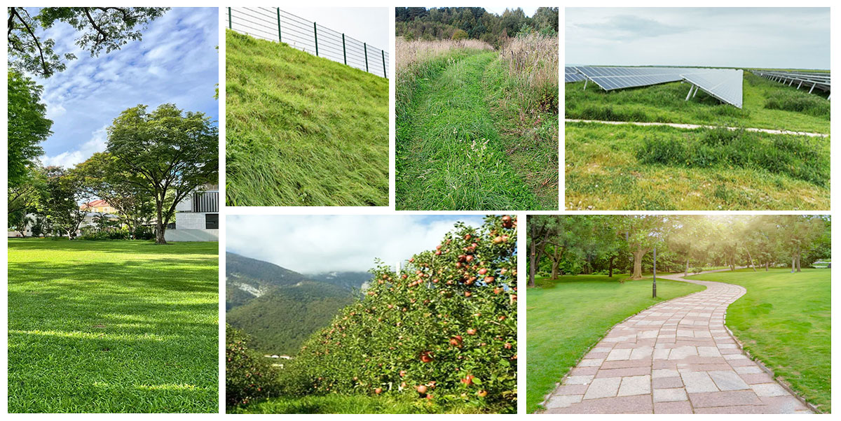 broyeur de broussailles forestières