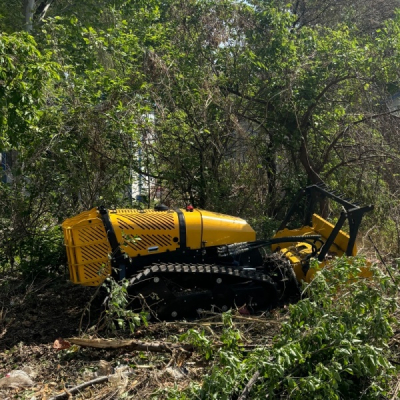 Disboscamento e pacciamatura del terreno