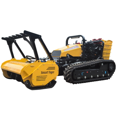 الروبوتية مولشر