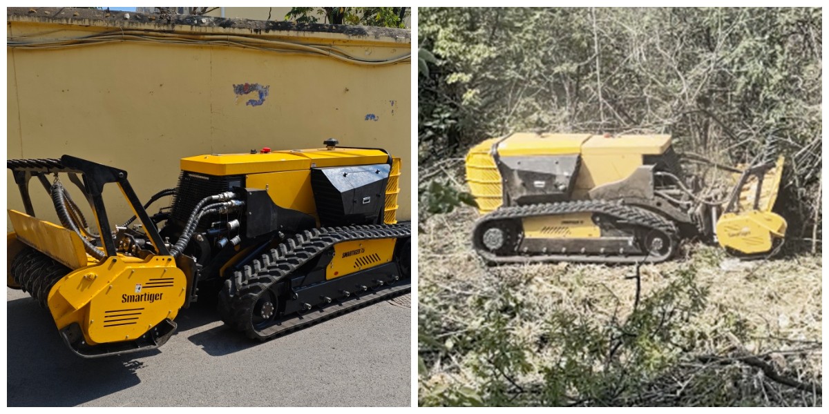 Forest Protection and Forest Firebreak Establishment Forest Protection and Forest Firebreak Establishment