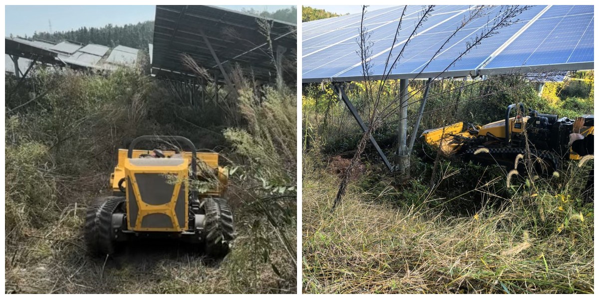 كيفية اختيار جزازة العشب لقص العشب على التلال