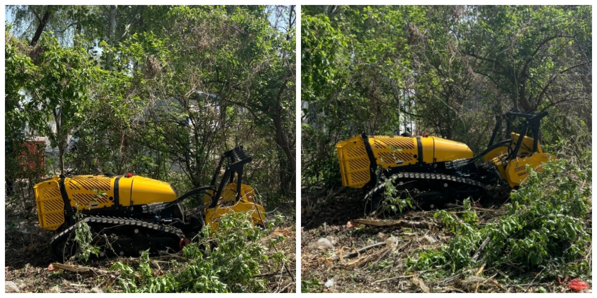 Bonifica del terreno e pacciamatura
