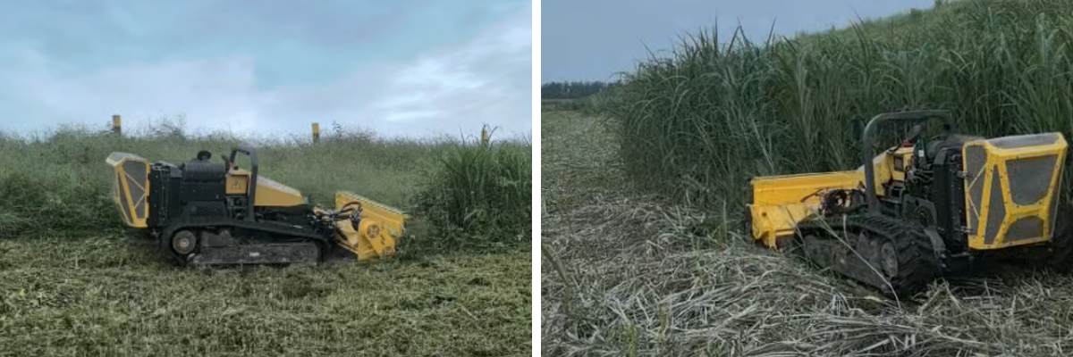 تُحسّن جزازات العشب التي يتم التحكم فيها عن بُعد من كفاءة إدارة الأعشاب الضارة على طول السدود تُحسّن جزازات العشب التي يتم التحكم فيها عن بُعد من كفاءة إدارة الأعشاب الضارة على طول السدود