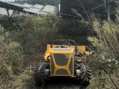 Teste de corte de relva em local fotovoltaico