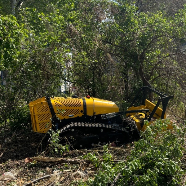 Disboscamento e pacciamatura del terreno